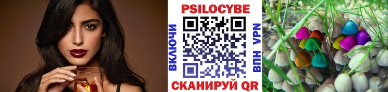 mega ТОР  купить  цена  Зарайск  Псилоцибиновые грибы Cubensis 
