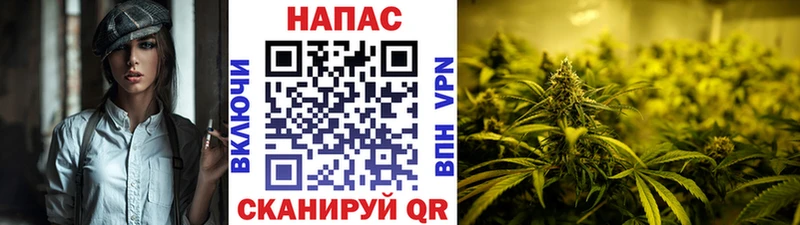 Канабис ГИДРОПОН  где продают   ссылка на мегу сайт  Зарайск 